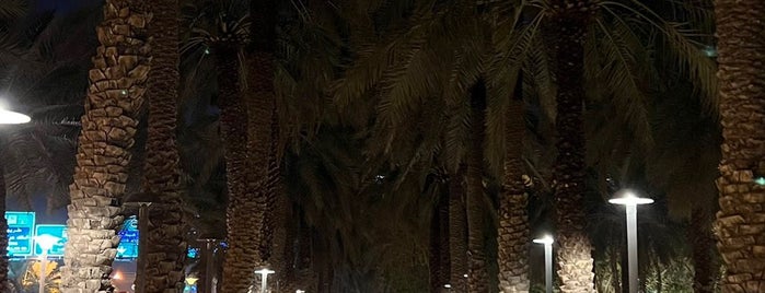 Riyadh’s Parks
