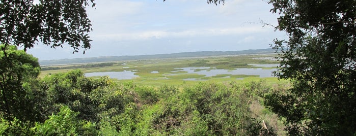 iSimangaliso Wetlands Park