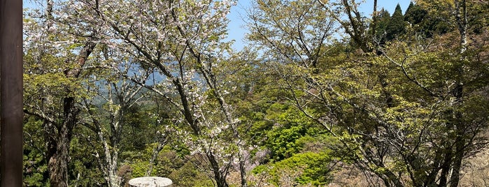 吉野山 上千本 is one of 日本の世界文化遺産（紀伊山地の霊場と参詣道）.