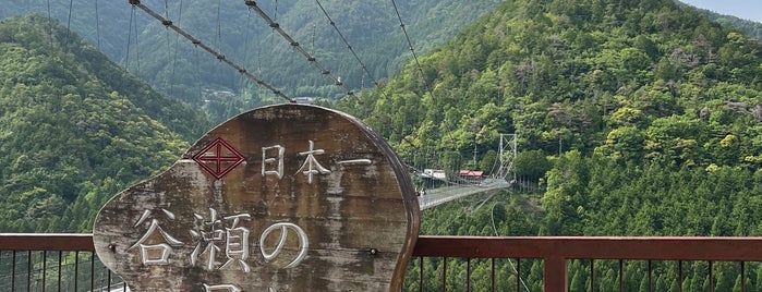 谷瀬橋(谷瀬の吊り橋) is one of 観光名所.