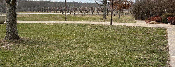 Blue Sky Vineyard is one of Illinois-ish.