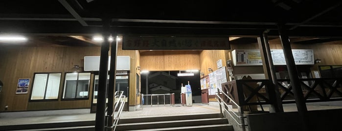 Yamato-Kamiichi Station is one of 近畿日本鉄道 (西部) Kintetsu (West).