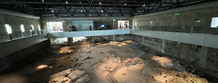 Zigong Dinosaur Museum is one of Museum TODOs.