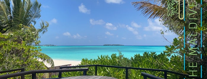 Taj Exotica Resort & Spa is one of Maldives - Seychelles - Ile Maurice.