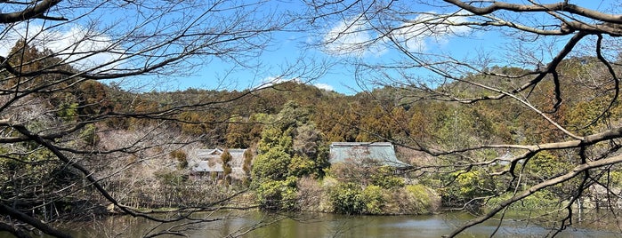 Ryoan-ji Rock Garden is one of Lugares guardados de Cynthia.