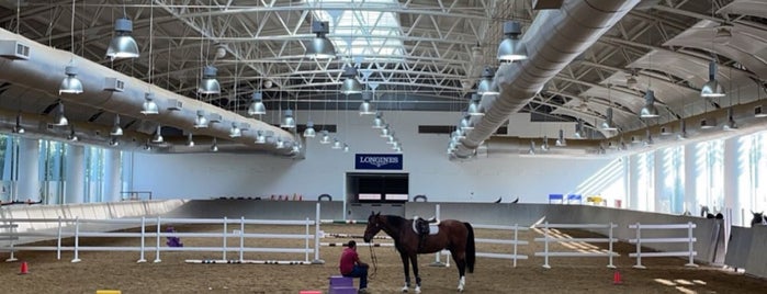 Al Shaqab Arena is one of Qatar.