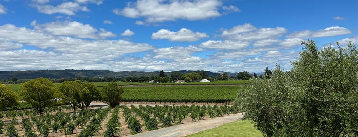 Bashee Wines is one of Napa/Sonoma.