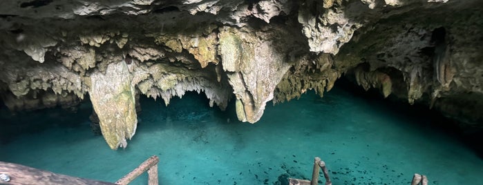 Cenotes Sac Actun is one of mexico.