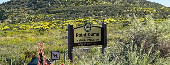 Point Dume State Beach is one of 캘리.