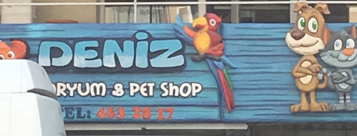 Deniz Akvaryum Pet Shop is one of Veni Vidi Vici İzmir 5.