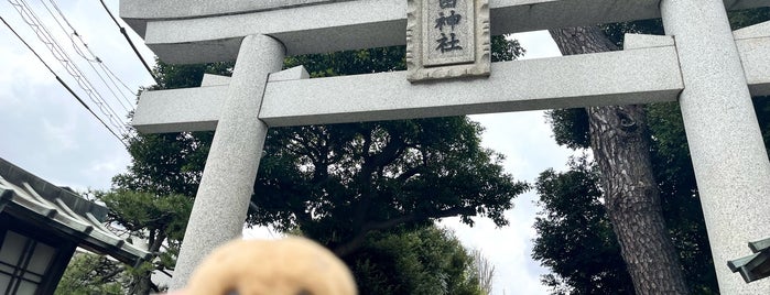Kikuta Shrine is one of 御朱印巡り.