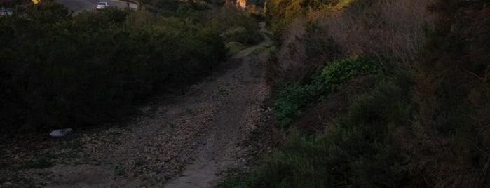 Hiking San Diego