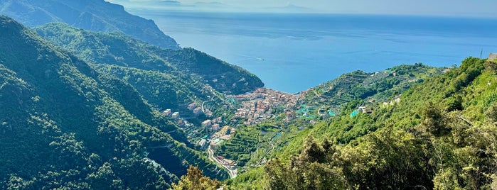 Costa Amalfitana is one of MSC Capri + Costa Amalfi.