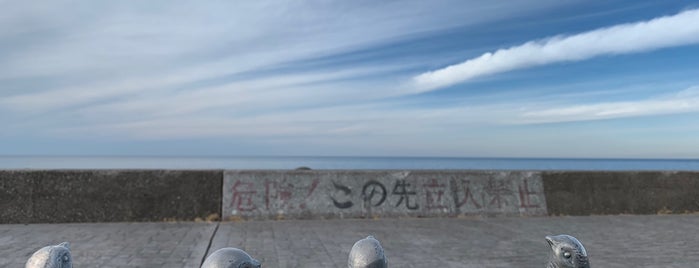 新潟県立海洋高等学校 マリンミュージアム 海洋 is one of 新潟.