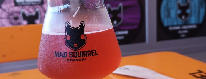 Mad Squirrel Brewery & Tap Room is one of Locais curtidos por Carl.