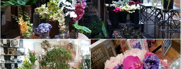 Robertson's Flowers & Events is one of Harry Potter Weekend in Chestnut Hill.