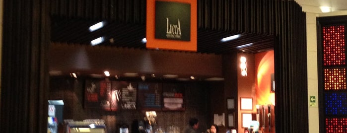 Lucca Specialty Coffee is one of Stgo..