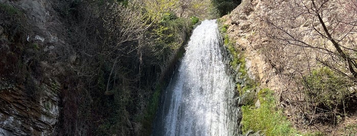 Waterfall in Abanotubani | ჩანჩქერი აბანოთუბანში is one of Грузия.