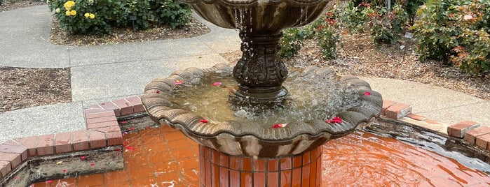Gold Medal Rose Garden Fountain is one of Tempat yang Disukai Srini.