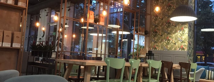 Etno Cafe is one of Warszawa.