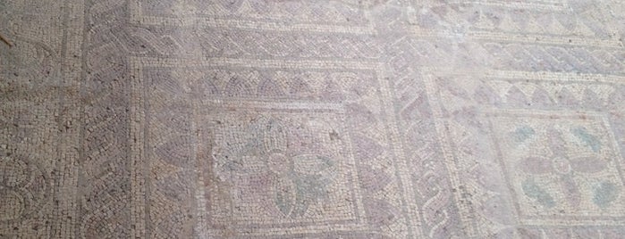 Kasnoantički mozaik is one of Lugares favoritos de Roman.