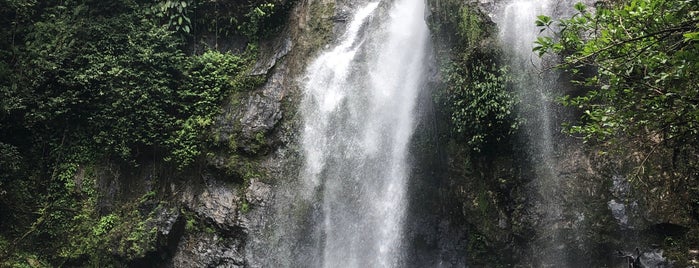 Si Phang Nga National Park is one of P 28.02.