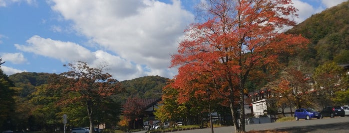 おいらせ渓流観光センター is one of Aomori/青森.