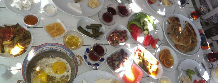 Ceviz ağacı köy kahvaltısı is one of Locais curtidos por Nedim.