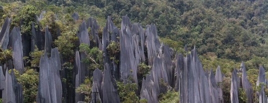 Pinnacles is one of Малайзия.