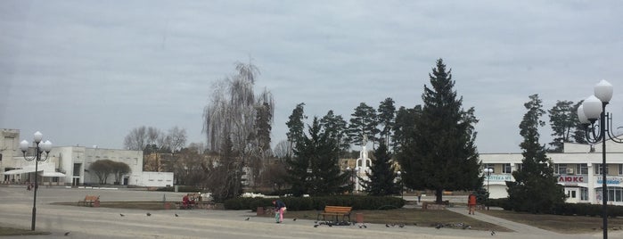Кав'ярня на майдані is one of Відвідати в Славутичі.