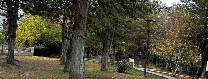 Mutluköy Sitesi Yürüyüş Parkı is one of Ankara.