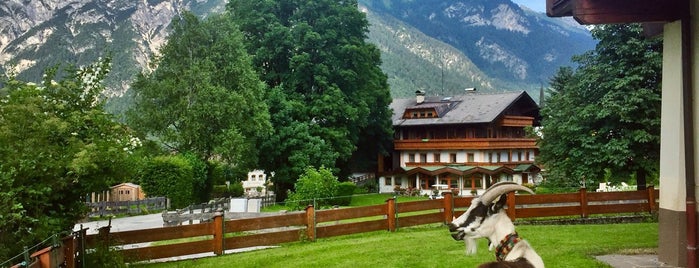 Alpenhotel Tyrol Pertisau is one of Locais curtidos por Anna.