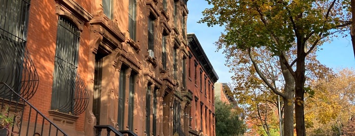 Fort Greene is one of Neighborhood Americas.