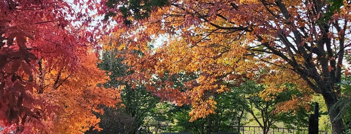 북악산길 산책로 is one of 고잉고잉.