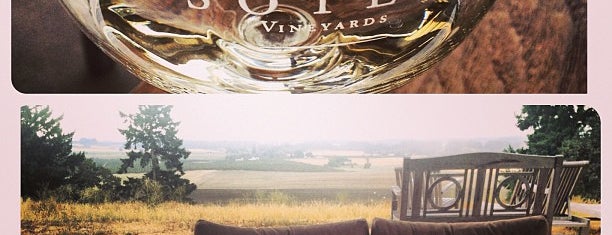 Soter Vineyards is one of If you’re ever in....