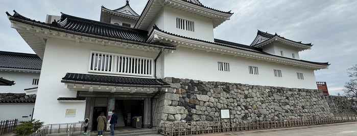 Toyama Castle is one of Tateyama Kurobe Alpen Route.