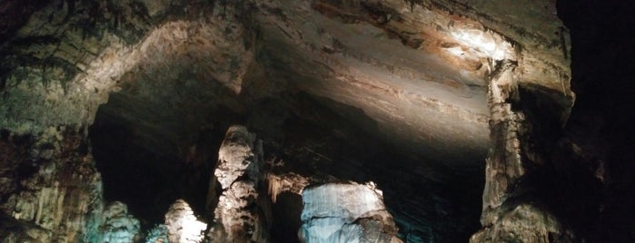 Grutas De Cacahuamilpa is one of Irionik’s Liked Places.