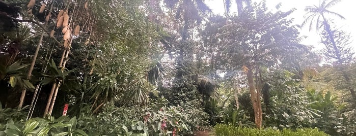 Flecker Garden is one of All-time favorites in Australia.