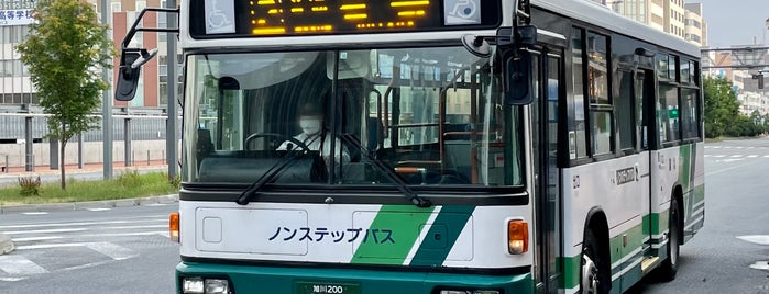 旭川のバス停 Bus Stops In Asahikawa