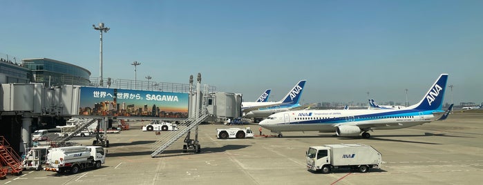 Gate 65 is one of 羽田空港(Haneda Airport, HND/RJTT).