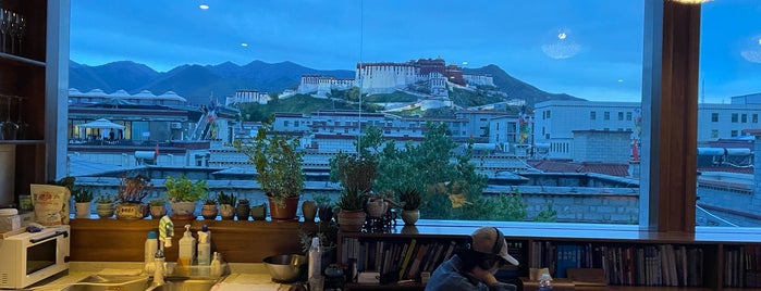 Lhasa is one of Tempat yang Disimpan Kimmie.