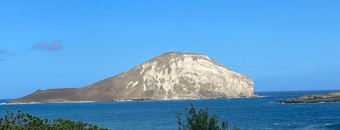 Mānana (Rabbit Island) is one of Travels.