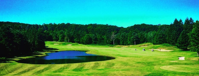 Hawks Eye Golf Resort Bellaire is one of Lugares favoritos de Darek.