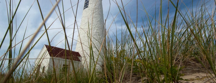 Coskata Wildlife Refuge is one of ACK.