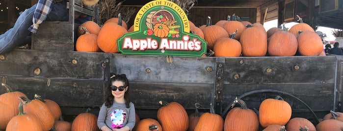 Apple Annie's Pumpkins And Produce is one of Tucson.