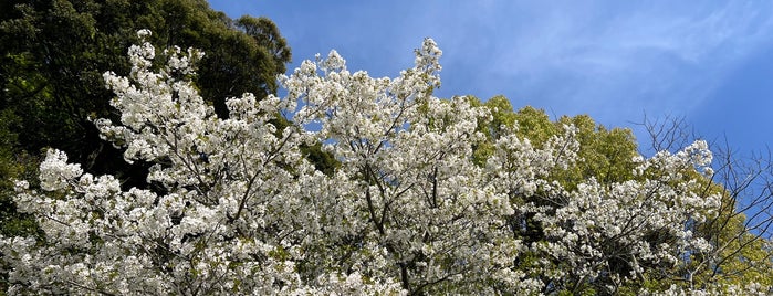 鶴岡八幡宮 本殿 is one of 鎌倉逗子葉山.