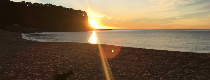 Canyelles Beach is one of Excursiones.