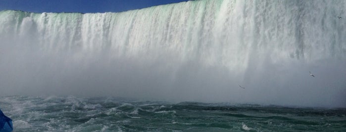 Niagara Falls State Park is one of Планы на жизнь.