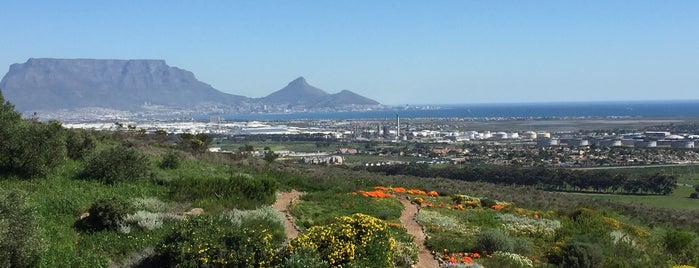 Durbanville Hills Wine Estate is one of Südafrika.