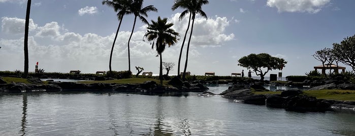 Illima Terrace is one of Family Holiday in Kauai.